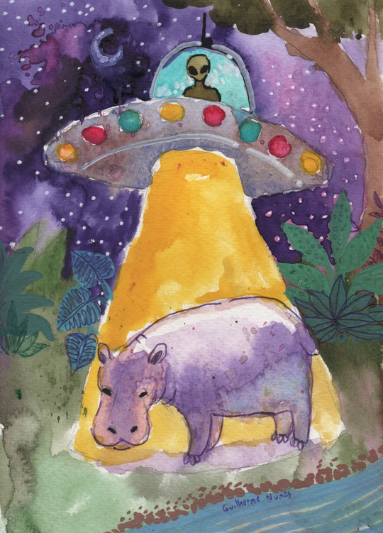 Guilherme Nunes tweet media