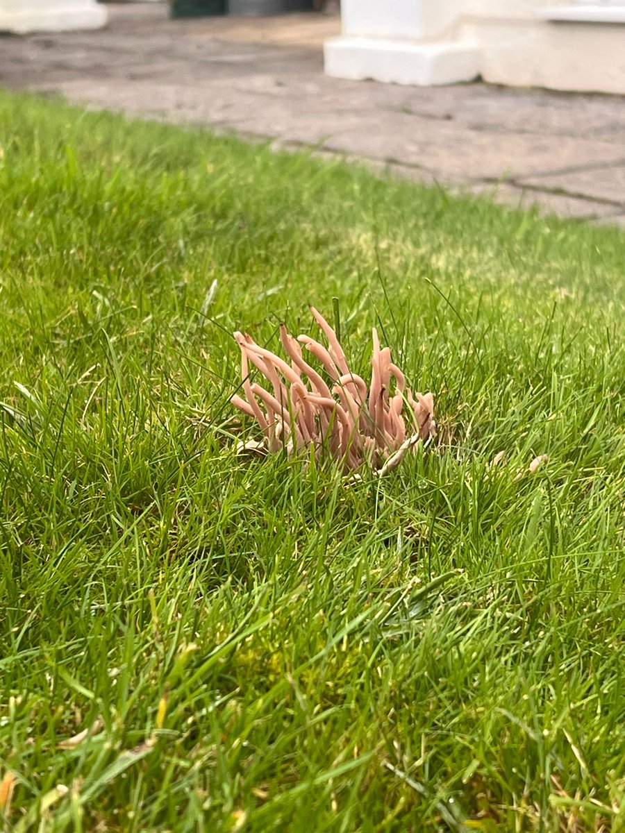 Will Clennell tweet media