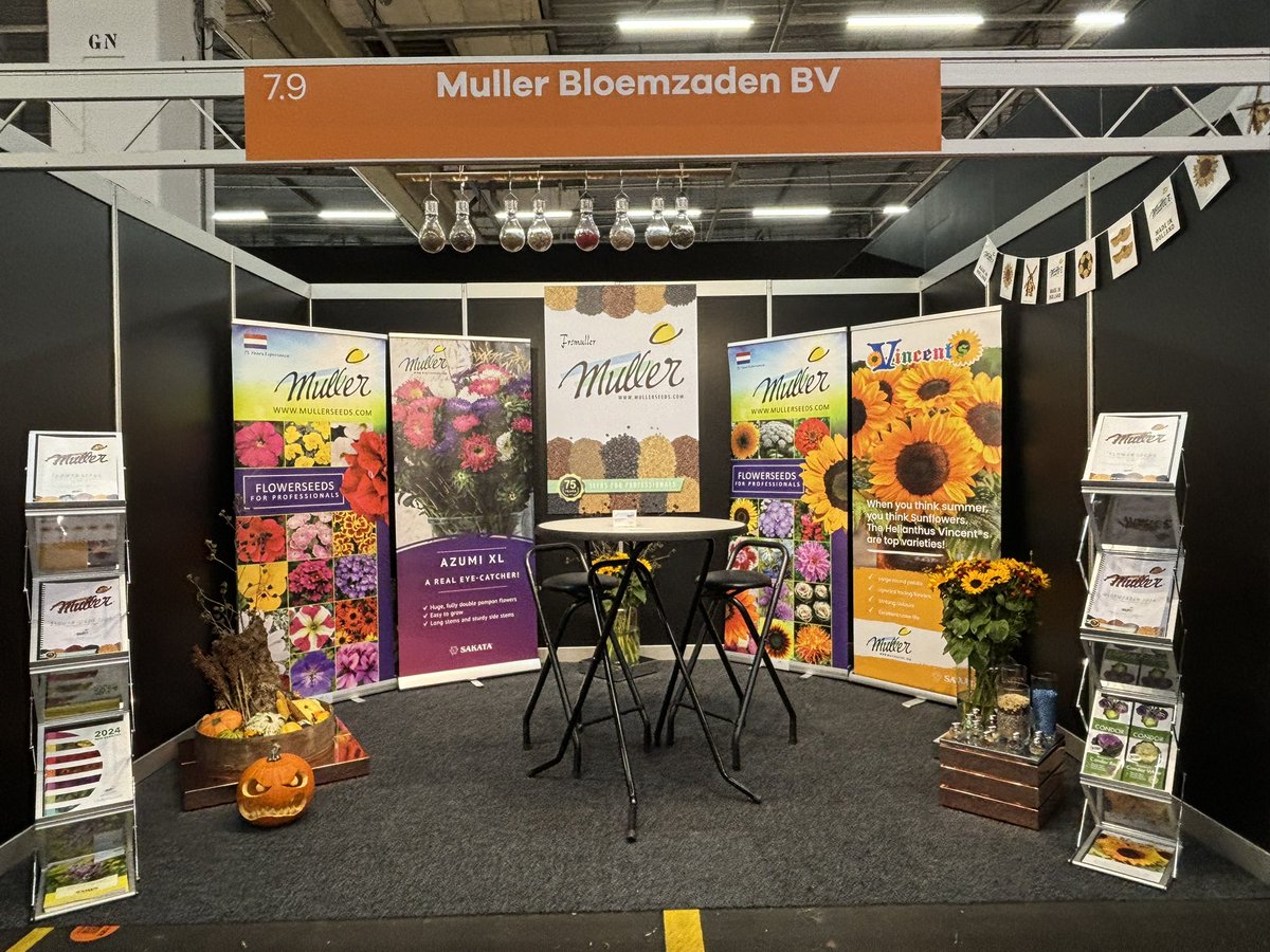 Mullerseeds's tweet image. Muller Bloemzaden staat van 5 t/m 7 november op de Trade Fair in Aalsmeer. Pad 7 stand 7.09. We verwelkomen u graag. 

Parkeren
Royal FloraHolland
Legmeerdijk 313
1431 GB Aalsmeer