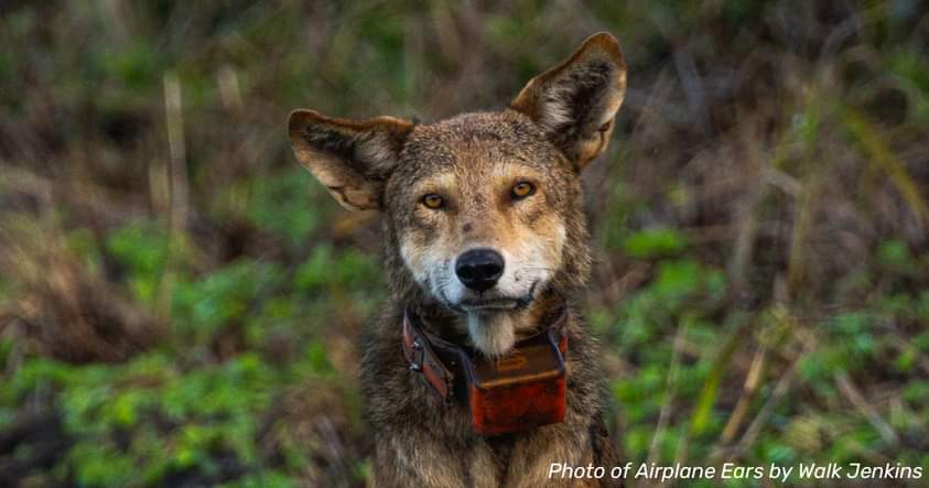 Lindadaybreak's tweet image. 