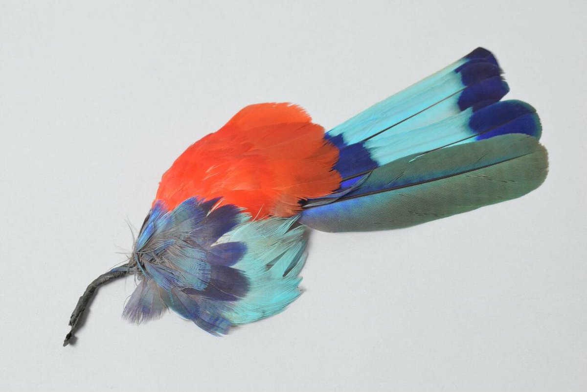 V&amp;A Research Fellow <a href="/syperek/">dr pandora</a> has organised an amazing conference with a wild line-up <a href="/V_and_A/">V&A</a> .  
Animal Products: Intersections of More-Than-Human Design and Display
📅14 November 
vam.ac.uk/event/bXK6AoWE…
🐯🐍🦊🐞🦤