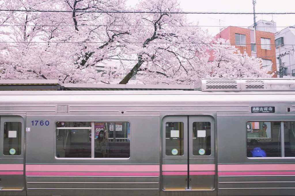‏ْ (@piinkifairy) on Twitter photo 