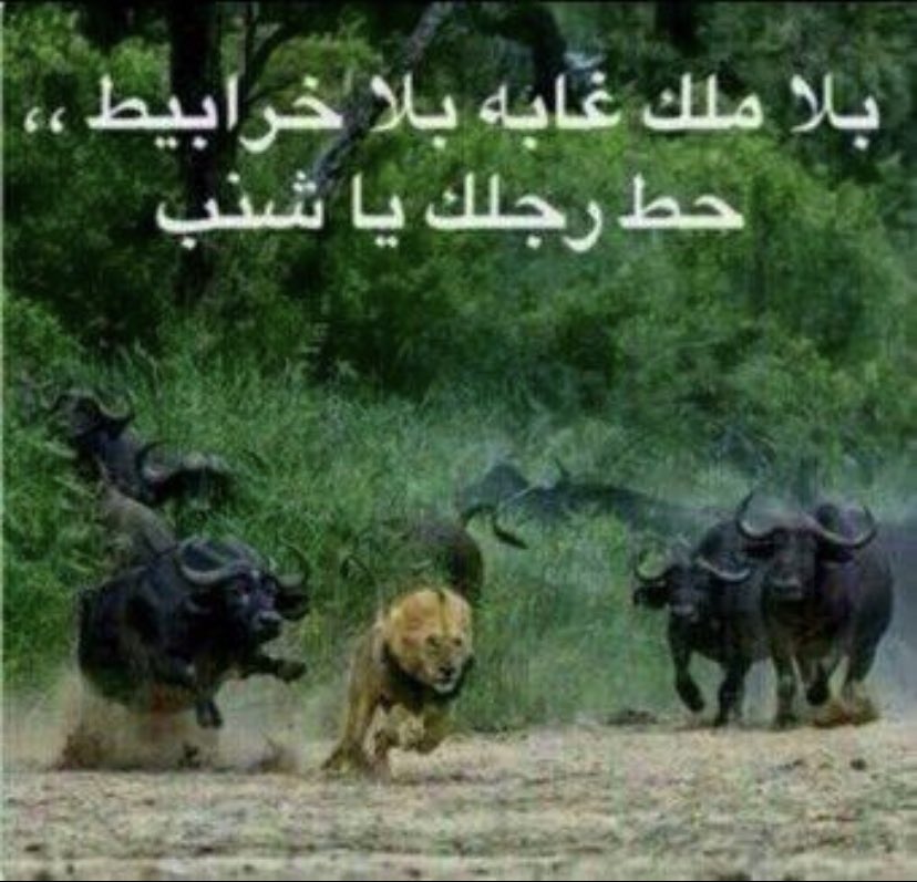 َ tweet media