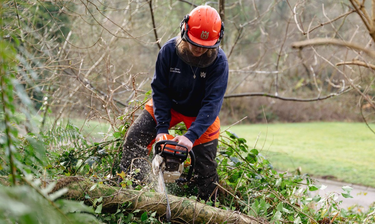 Vital tree-safety works have been scheduled across the Llandegfedd site in November and December. Visitors should be aware that we may need to restrict access to roads, walking trails and car parks for short periods whilst the work is carried out.