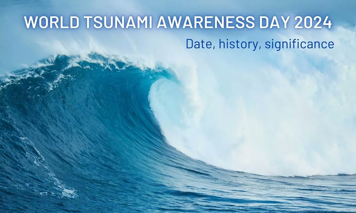 The 2024 WTAD theme is “Empowering the next generation with the lessons of the 2004 Indian Ocean Tsunami”. This is aligned with the theme of this year’s Intern. Day for Disaster Risk Reduction (IDDRR), which focuses on empowering children &amp; youth &amp; the goals of the Sendai FDRR