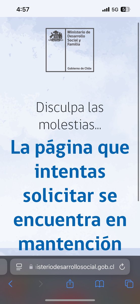 sofi ꪔ̤̫ tweet media