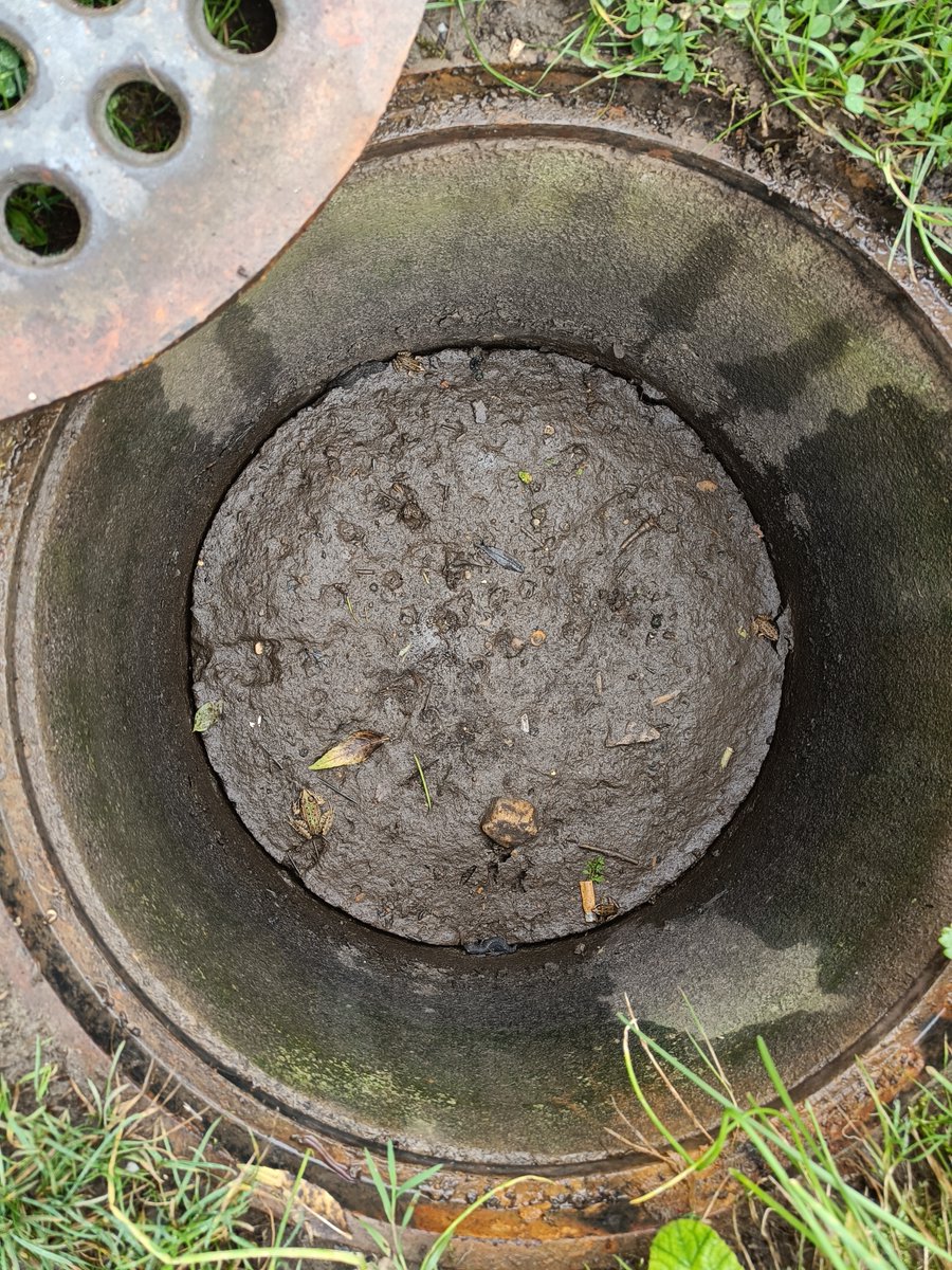 GerslLumir's tweet photo. Am Wochenende wieder mal etwas Grünes durch den Dolendeckel entdeckt. Das zweite Foto zeigt die geöffnete Sickergrube.
Wie viele Amphibien könnt ihr entdecken? #Suchbild
#Naturgarten #Teichfrösche #Molche https://t.co/oDVysFulMO