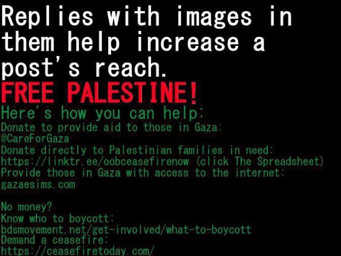 Please help me by donating and spreading my campaign, my family and I need you 🥹🙏

🔗:paypal.me/AbedAwad6699?c…

🔗:gogetfunding.com/rising-from-th…