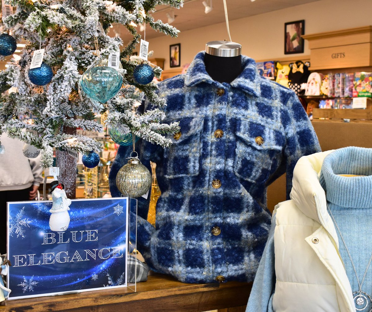 FredricksHM's tweet image. Step into a winter wonderland with our new Blue Elegance display! ❄️✨ Shimmering decorations to make your home magical this season.

#fredrickshallmark #blueelegance #hallmark #christmasdecorations #Christmas #giftideas #holidayshopping #giftshops #candy