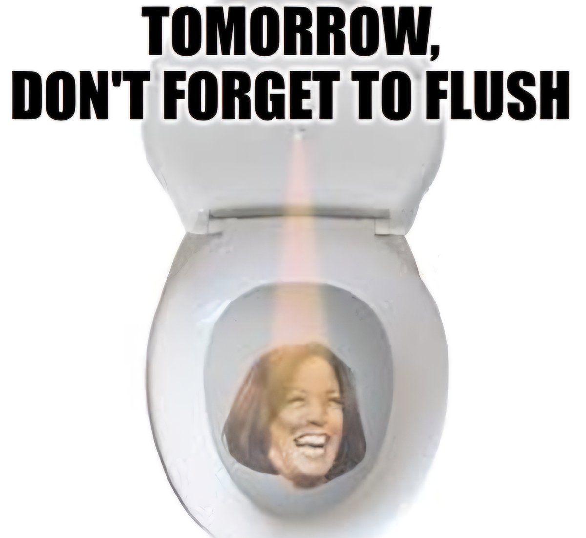 OldNurseSilva's tweet image. Trump is going to flush Kamala down! 

#TooBigToRig 
#VoteTrumpToSaveAmerica