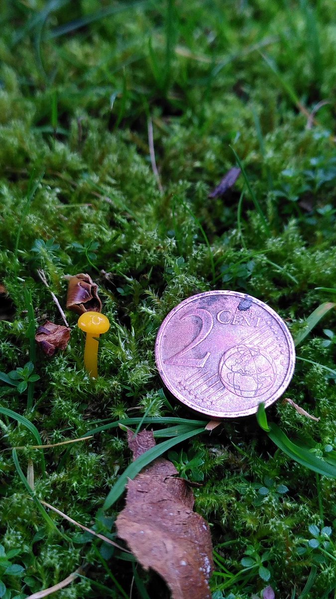 Matthew jones tweet media