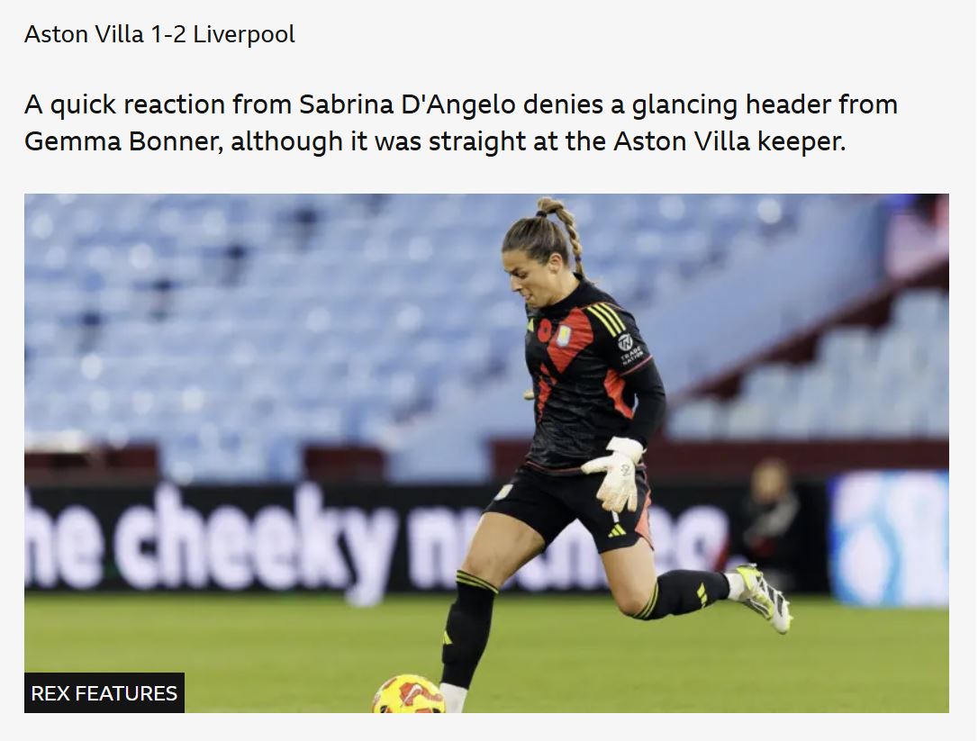 MSN Images tweet media