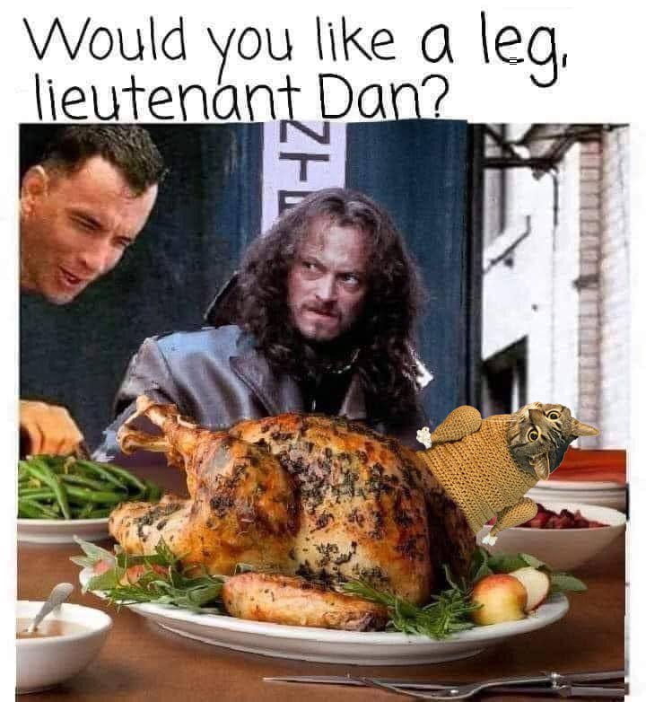 lieutenant dan wants turkeycat 🦃🐱 for thanksgiving haha $TC
