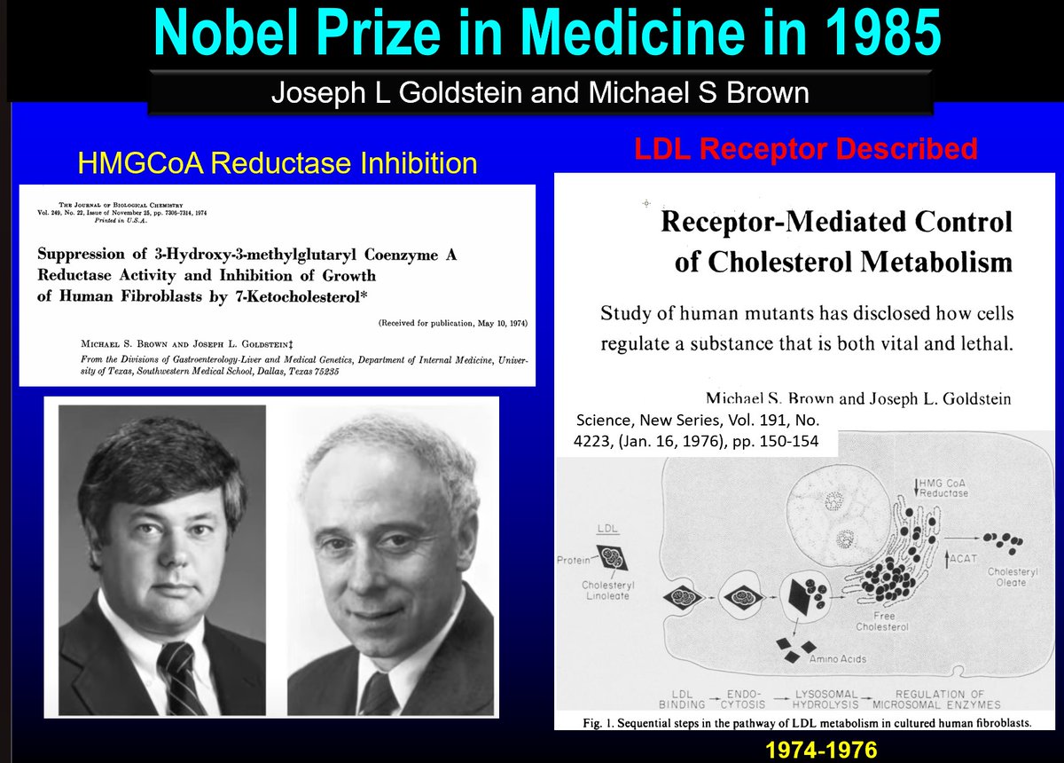 Thomas Dayspring (@drlipid) on Twitter photo Many men were also contributors to the 200-year cholesterol story. Here are six sterol Nobel Laureates. Google each for their stories
<a href="/nationallipid/">National Lipid Association</a> <a href="/society_eas/">European Atherosclerosis Society</a> <a href="/escardio/">European Society of Cardiology</a> <a href="/atherosociety/">International Atherosclerosis Society (IAS)</a> <a href="/FamilyHeartFdn/">Family Heart Foundation</a> #cholesterol <a href="/fhpatienteurope/">FH Europe Foundation</a> Many men were also contributors to the 200-year cholesterol story. Here are six sterol Nobel Laureates. Google each for their stories
<a href="/nationallipid/">National Lipid Association</a> <a href="/society_eas/">European Atherosclerosis Society</a> <a href="/escardio/">European Society of Cardiology</a> <a href="/atherosociety/">International Atherosclerosis Society (IAS)</a> <a href="/FamilyHeartFdn/">Family Heart Foundation</a> #cholesterol <a href="/fhpatienteurope/">FH Europe Foundation</a>
