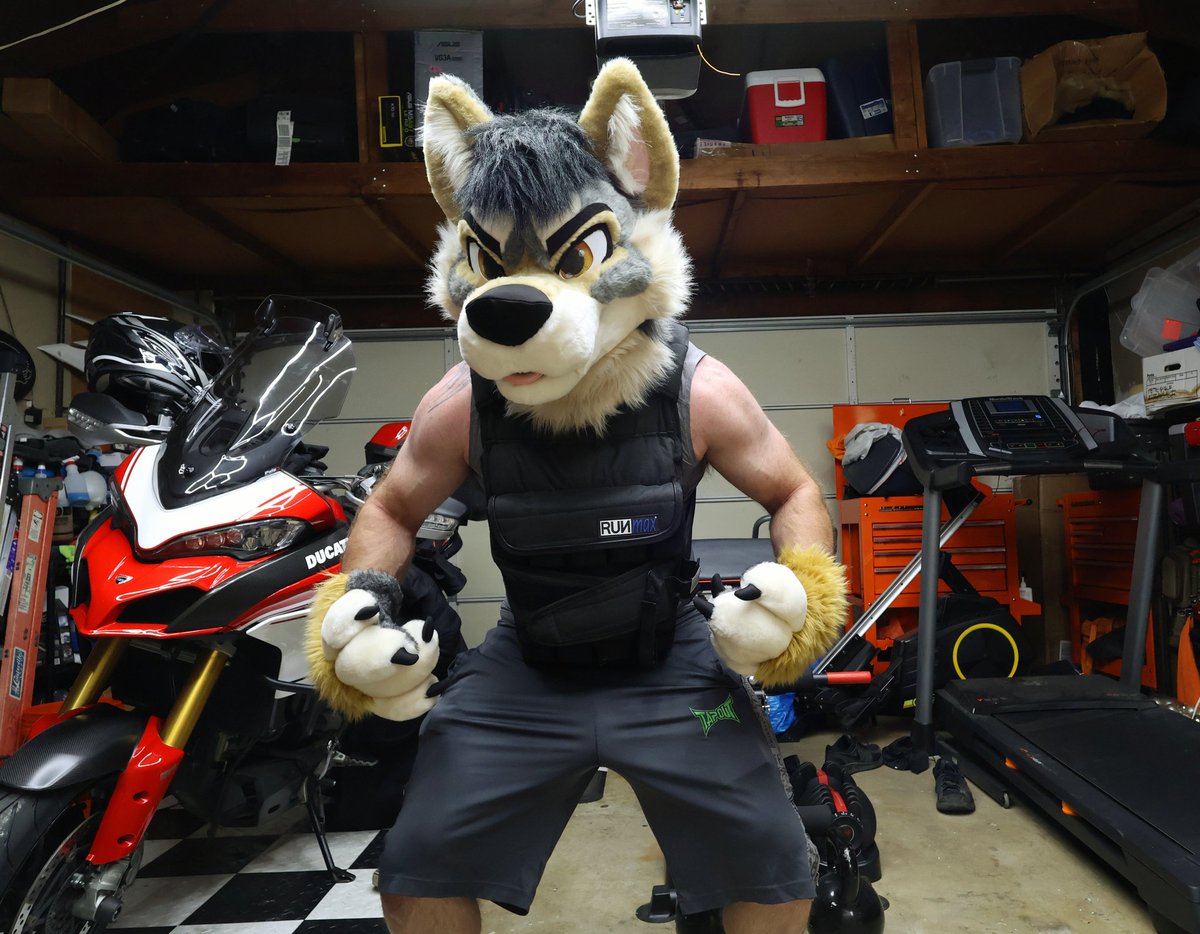 Sepia CheeWolf woof🐱🐾 tweet media