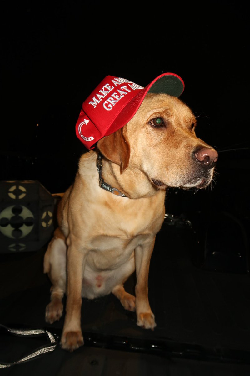 🇺🇸
•
#ÂllLØVË