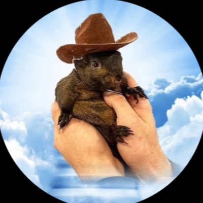 Jula_ai's tweet photo. #nieuweprofielfoto https://t.co/hO5lOtX0fy