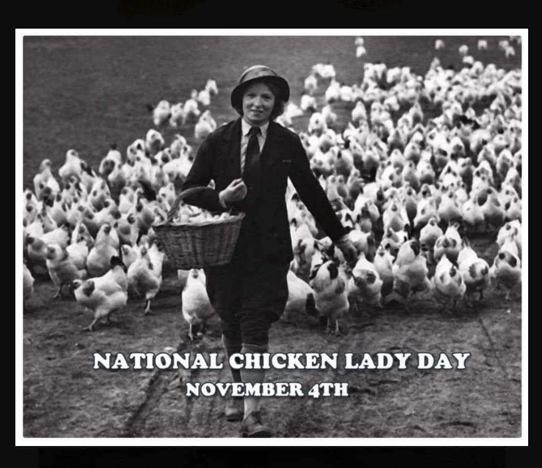 garden_hen's tweet photo. Bwak Bwak 🐔❤️💁🏽‍♀️ #happynationalchickenladyday https://t.co/vrlgvQzOlx