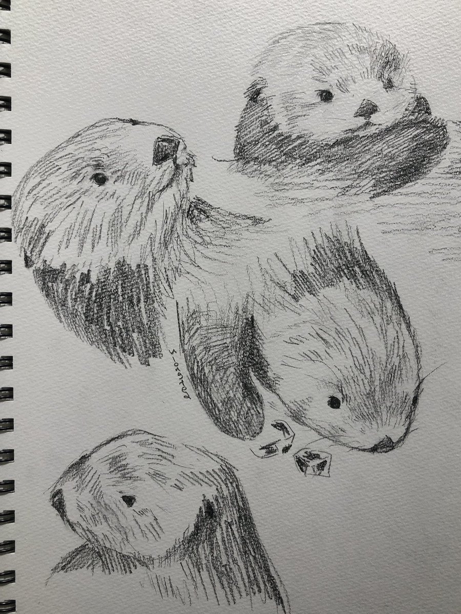 _f12u's tweet photo. 深夜にクニックさんをいっぱい��いた #ラッコ #seaotter #kunic https://t.co/2X0al1yTBo