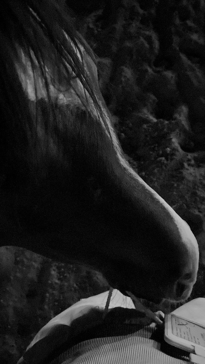 ياناس حبيت واحد و اثر المحبة صعييبه