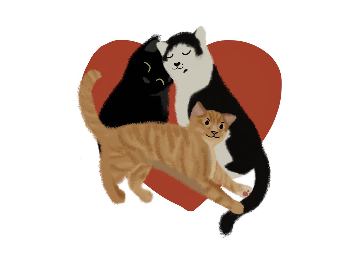 CL🩵VE tweet media