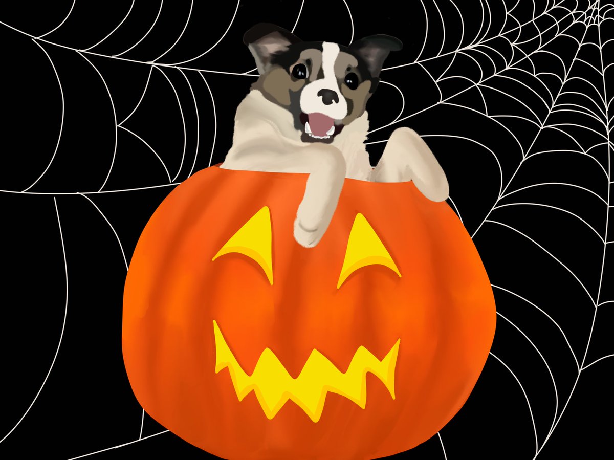 CL🩵VE tweet media