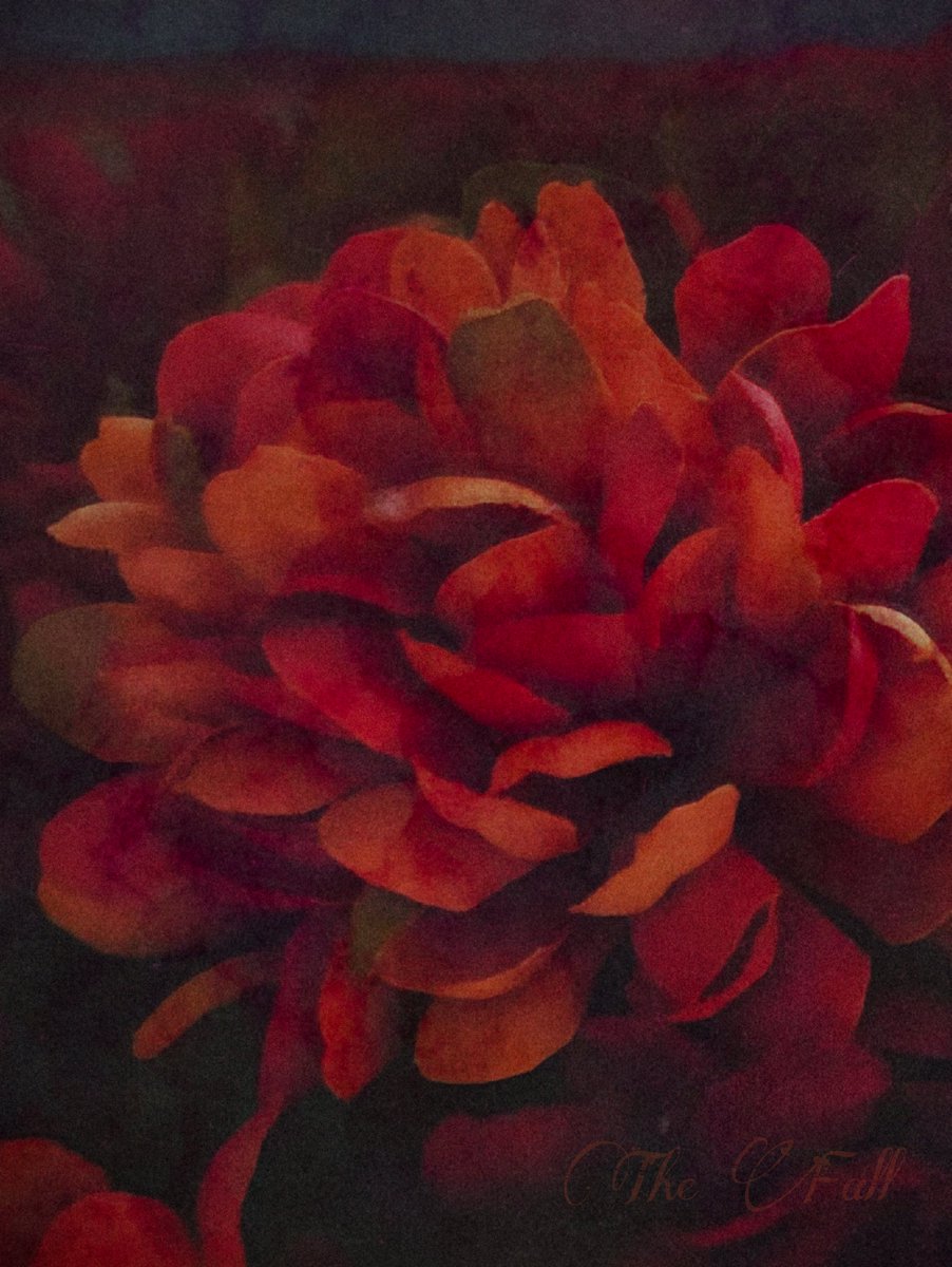 ✨️ My Very 1st DRiP 💧 DROP! ✨️

• "The Fall" •

Beneath a shroud of darkness, vivid petals burn in a mesmerizing dance of crimson and ember, evoking the spirit of autumn . . .

Unlimited Supply
for the Next 7 Days!