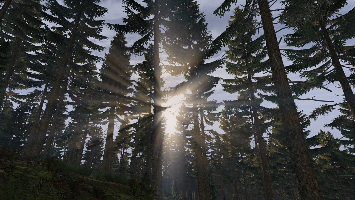Girble08's tweet photo. Video Game Photography - Day 92
#DayZ #Screenshot #xbox #PlayStation #GamePass #XboxGamePass 
@DayZ @bohemiainteract https://t.co/VlMZkgaogB