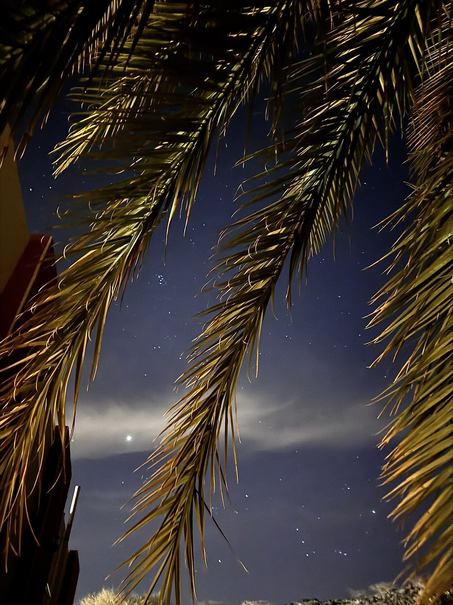 _q798's tweet image. 