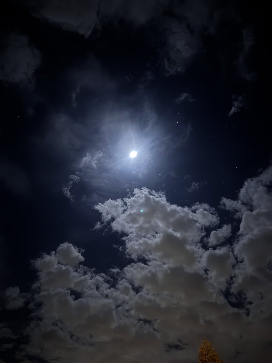 _q798's tweet image. 