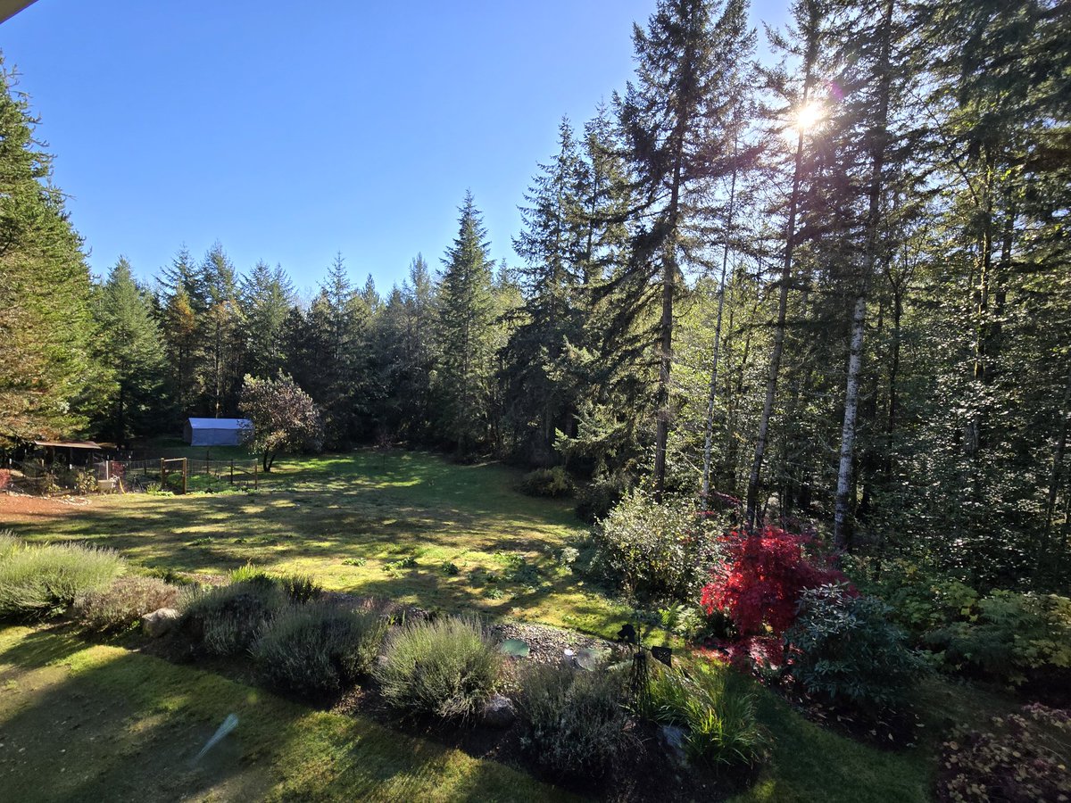 Después de la tormenta... una linda vista de ese hermoso cielo azul! 😍 Feliz Lunes desde Washington!!!