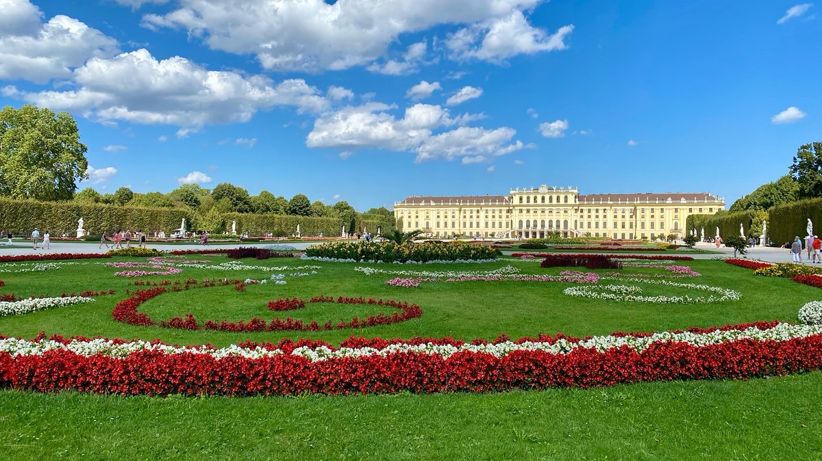rainsinfo's tweet photo. Strolling through Schönbrunn Palace✨ in the morning light🏰, a gentle breeze whispers🌿, revealing Vienna’s elegant charm in the calm🌇
#ViennaViews #SchönbrunnMagic #AustrianElegance https://t.co/U0CFHGxOsG