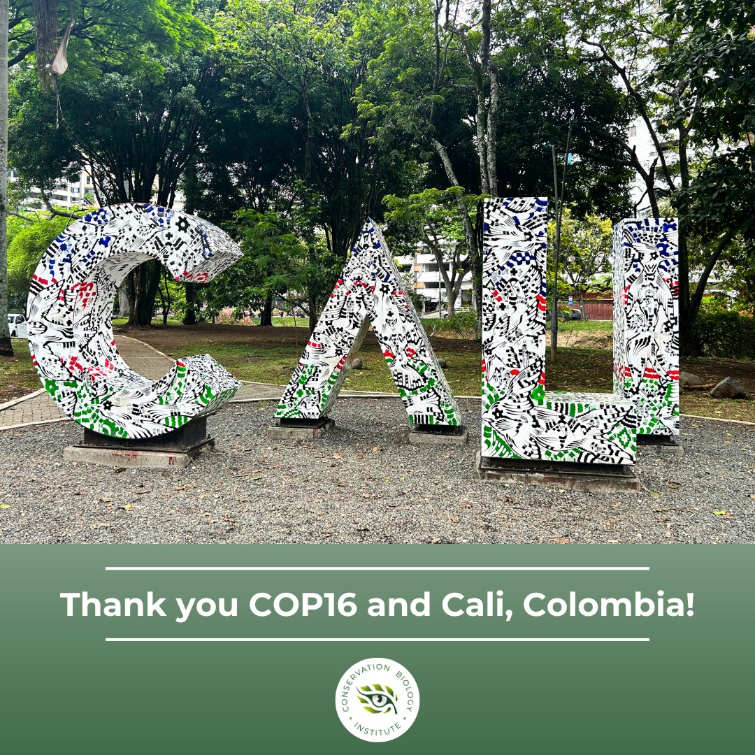 Conservation Biology Institute tweet media