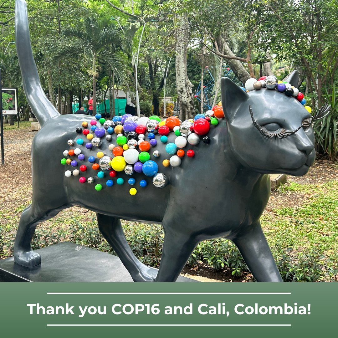 Conservation Biology Institute tweet media