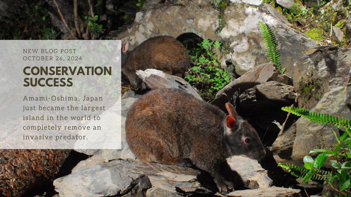 Global Center for Species Survival tweet media