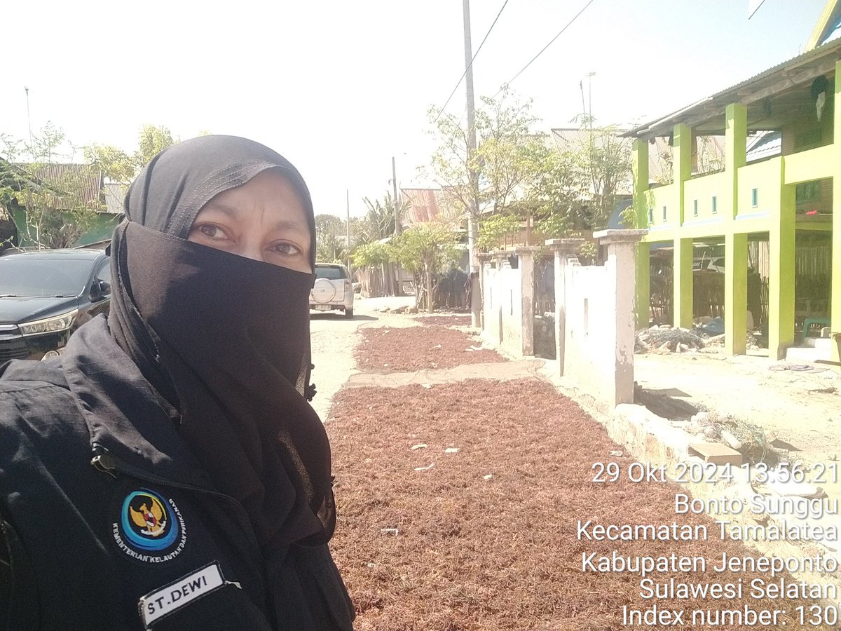 stdewi98's tweet image. Selasa,29/09/2024 Pengambilan Data Produksi Rumput Laut pada pokdakan Mutiara Indah Jenis Eucheuma Cottonii sebanyak 350 kg @ 4000 Di Desa Bontosunggu Kec.Tamalatea Kab.Jeneponto
# Puslatluh KP 
# BRPBAPPP Maros
# Luhkan Jeneponto