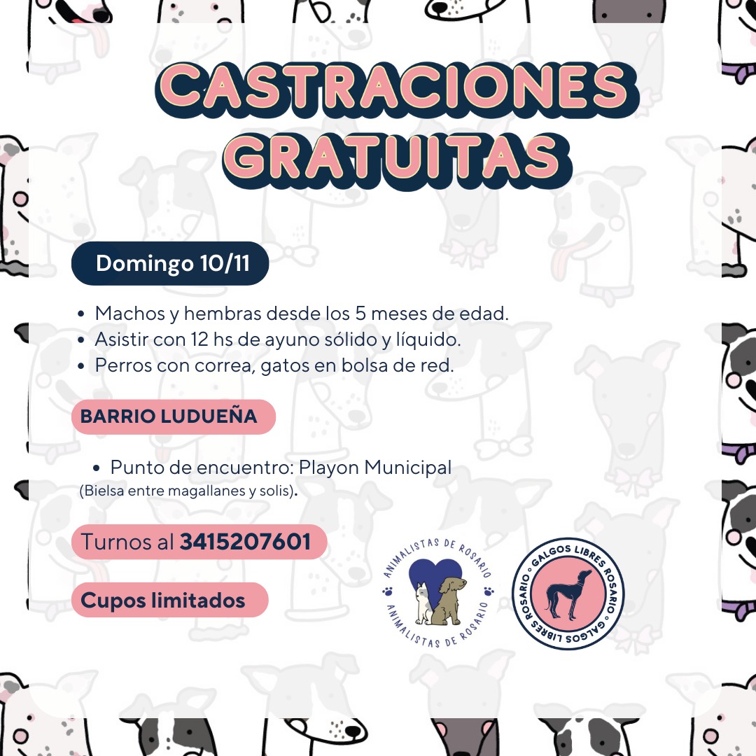 Castraciones gratuitas 🐶😺

📍Barrio Ludueña, Rosario
🗓️Domingo 10/11
📱Turnos al 3415207601