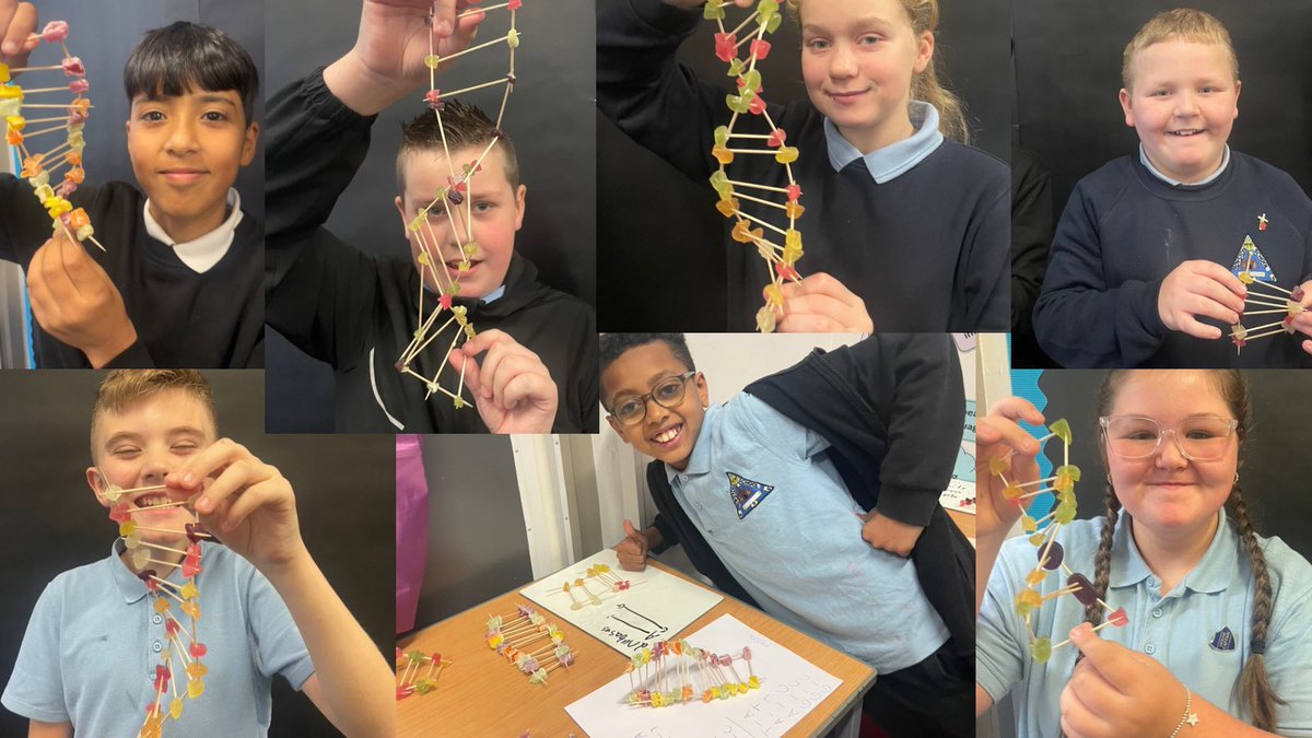 Miss Barton (@missbarton2662) on Twitter photo P6/7 are onto biomedical engineering week of #FEMENG π©π½βπ¬They loved making DNA models after creating their own genetic code based on their physical characteristics! Word of the day: DIOXY-RIBO-NUCLEIC-ACID 𧬠(phenotype/genotype close 2nd) <a href="/UofGfemeng/">UofG FemEng</a> <a href="/GIC_Glasgow/">Glasgow's Improvement Challenge</a> <a href="/RoystonPrimary/">Royston Primary</a> P6/7 are onto biomedical engineering week of #FEMENG π©π½βπ¬They loved making DNA models after creating their own genetic code based on their physical characteristics! Word of the day: DIOXY-RIBO-NUCLEIC-ACID 𧬠(phenotype/genotype close 2nd) <a href="/UofGfemeng/">UofG FemEng</a> <a href="/GIC_Glasgow/">Glasgow's Improvement Challenge</a> <a href="/RoystonPrimary/">Royston Primary</a>