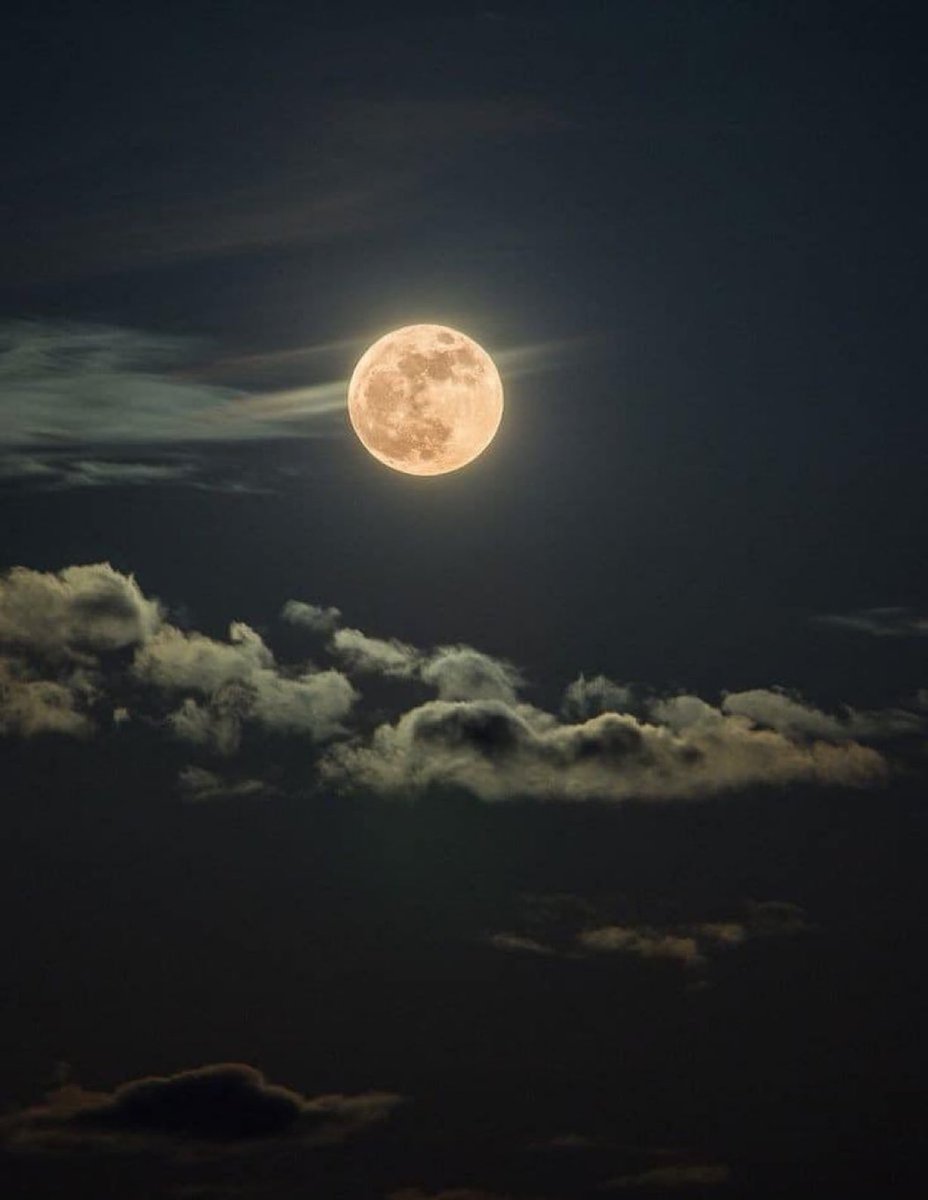 Moon lover.