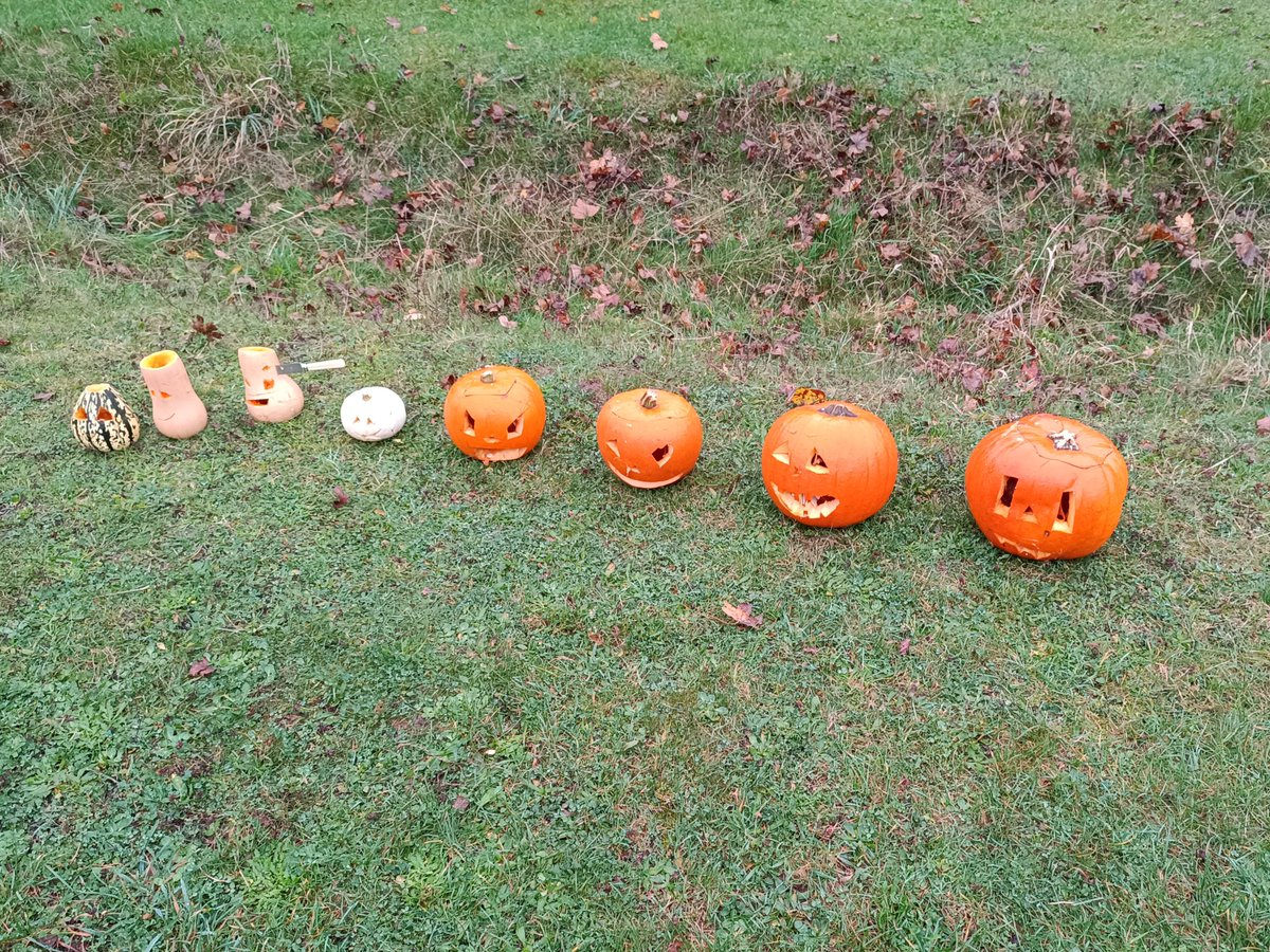 Just wanted you to see my Scouts' pumpkins and squashes. They carved them by firelight with penknives, so I think they're quite impressive. #creativebizhour