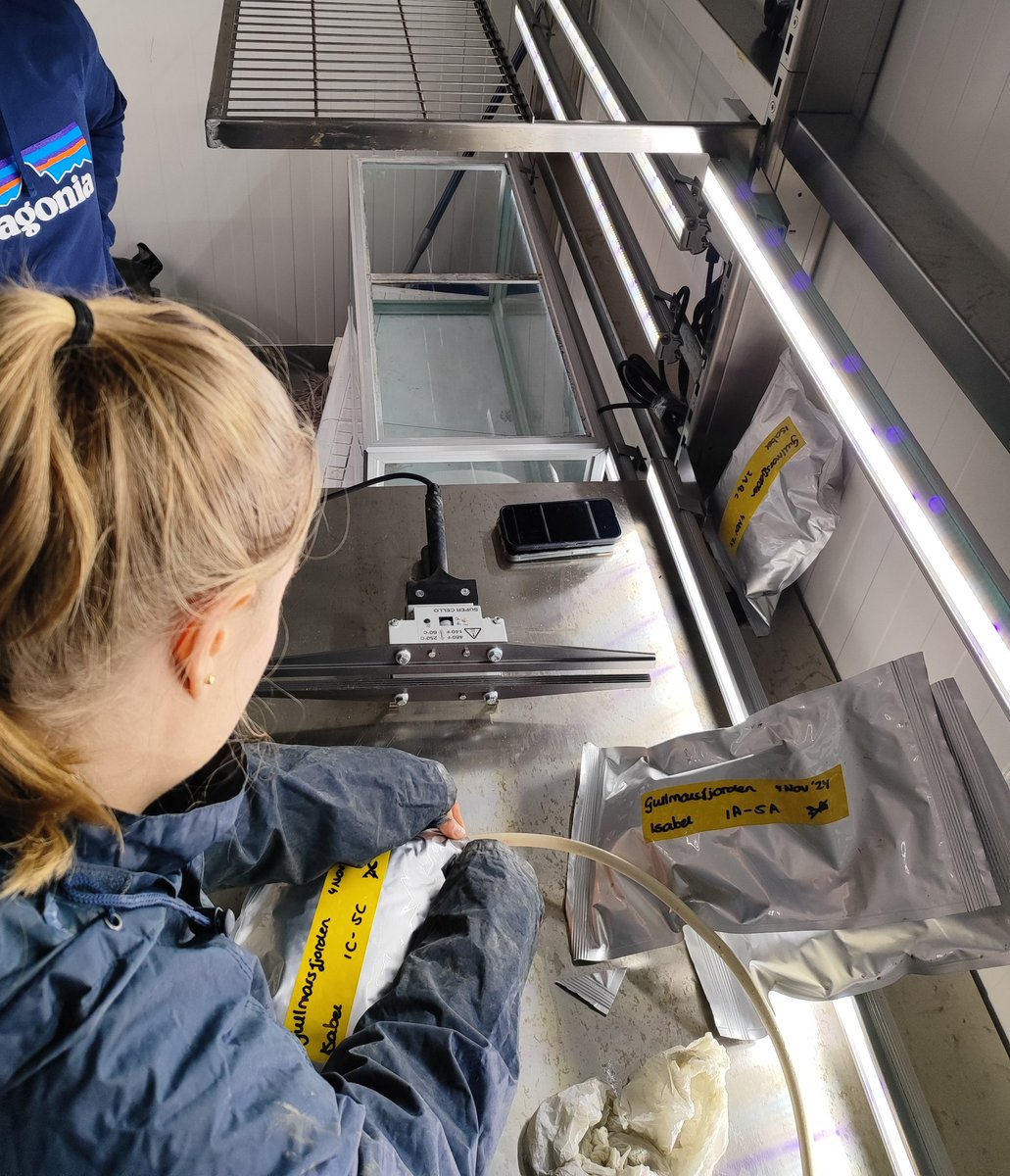 Mike Jetten🟥 tweet media