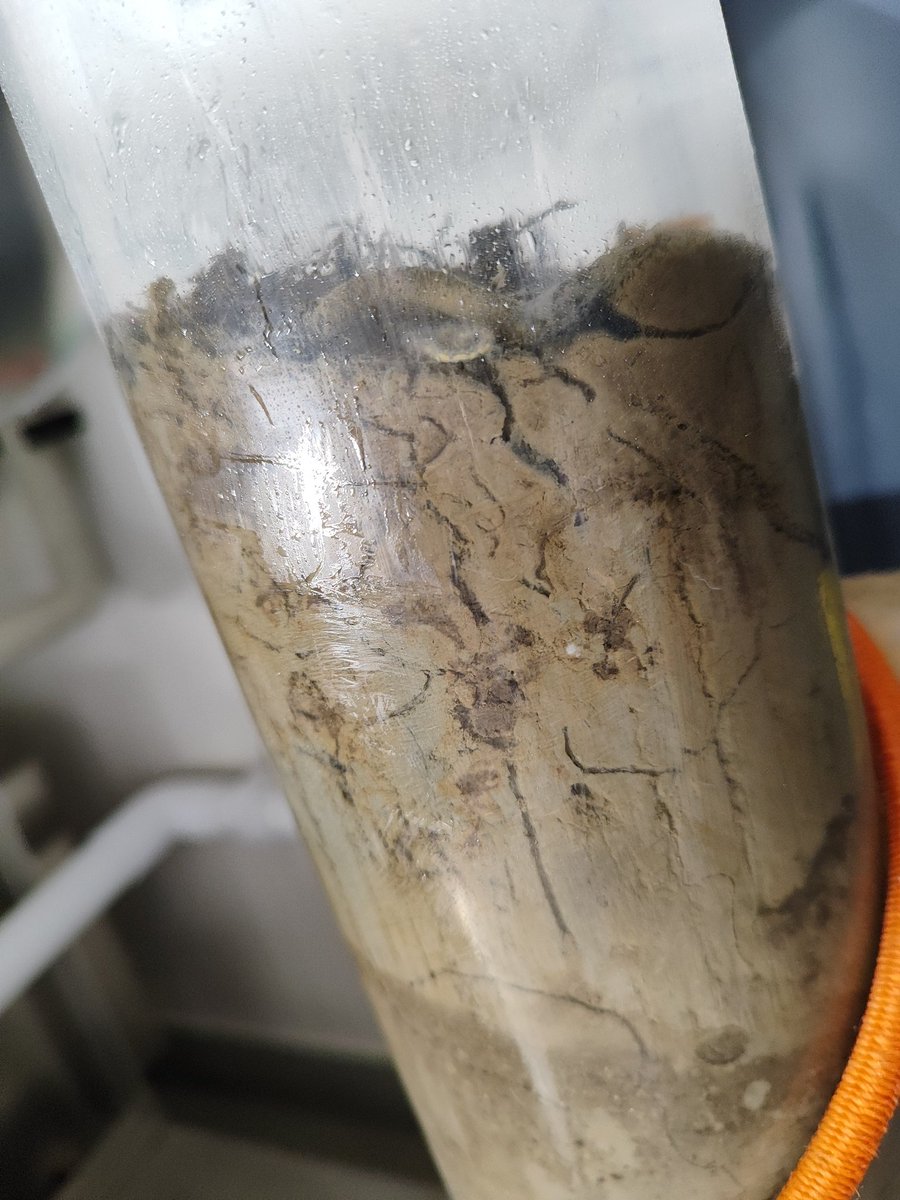 Mike Jetten🟥 tweet media