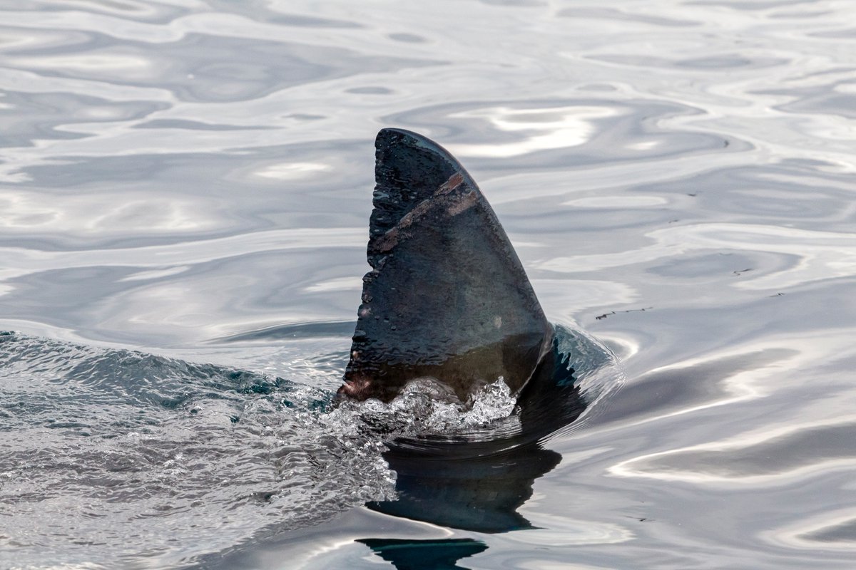 Jeremy Roberts tweet media