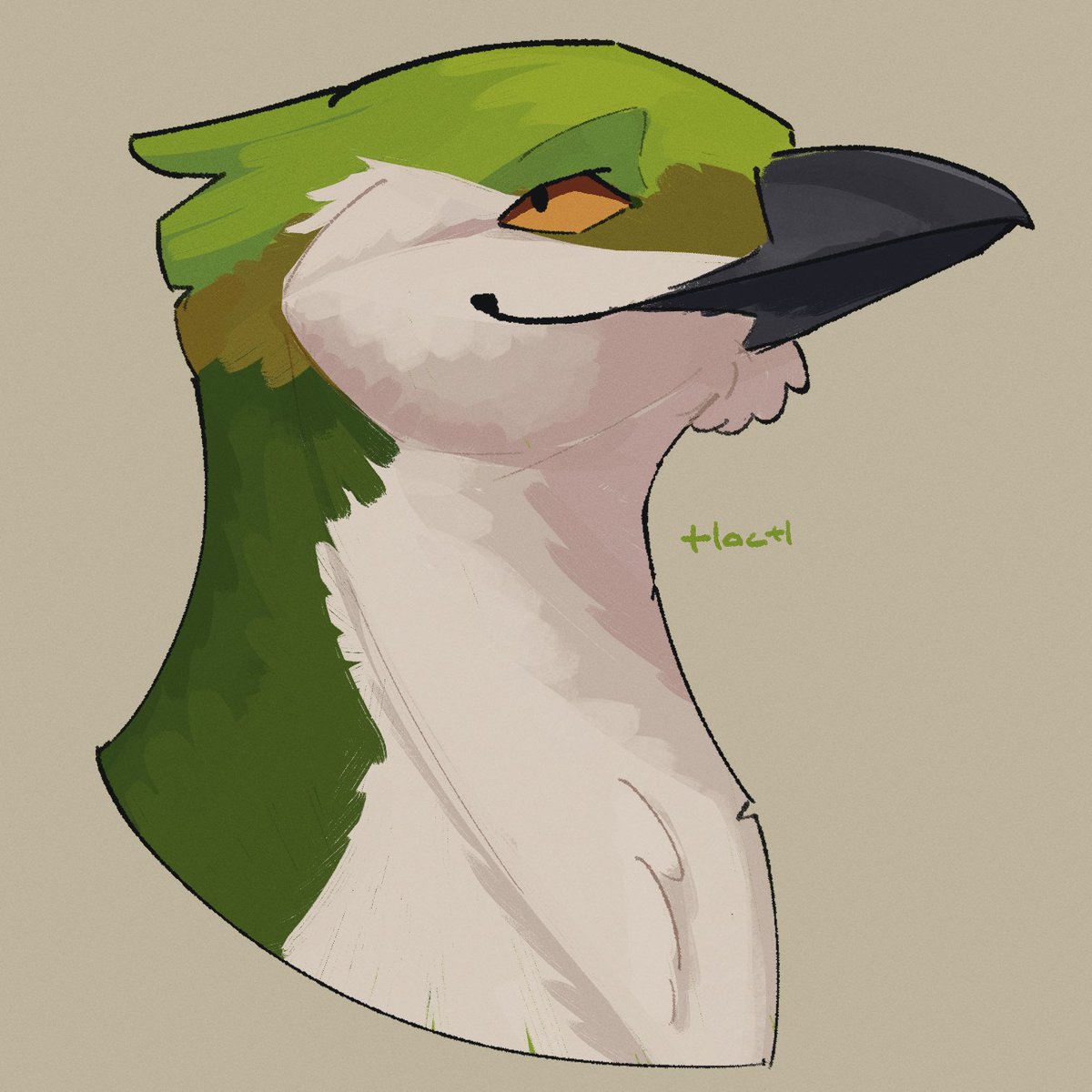 starting the birds with a violet green swallow