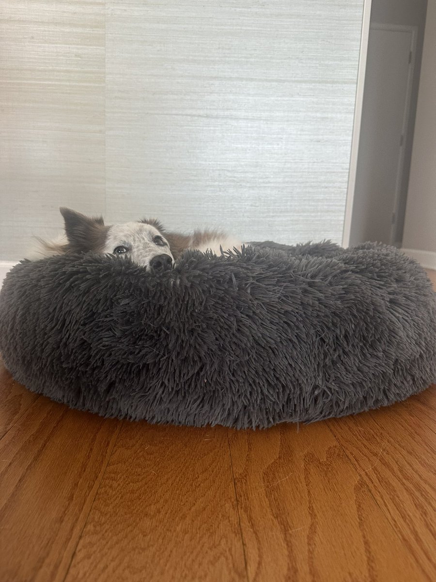 The position I’m taking for Election Day.