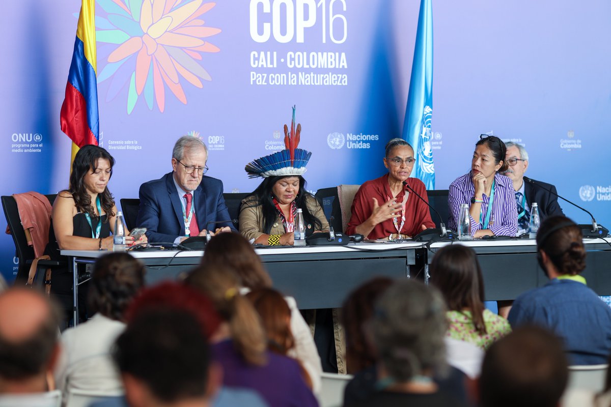 The COP16 of the Convention on Biological Diversity concluded in Colombia. Delegations from over 190 countries discussed urgent actions to reverse #biodiversity loss and strengthen international collaboration and proper funding. 📸: <a href="/mmeioambiente/">Ministério do Meio Ambiente e Mudança do Clima</a>
