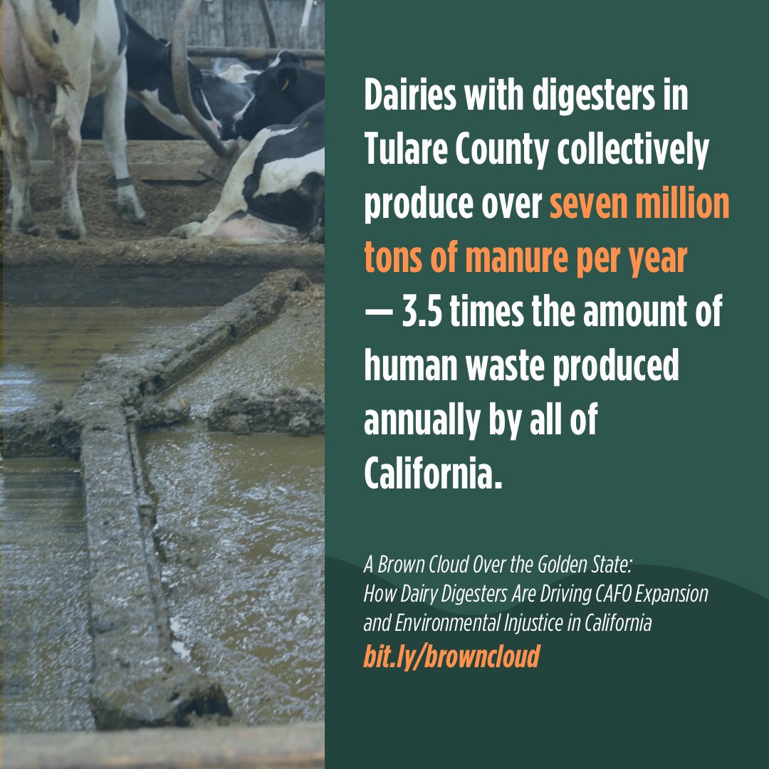Is this the future of #California we want to see? 🐄💩 Proposed #LCFS changes will push more farms to produce more manure at an accelerated pace, ignoring concerns from communities &amp; <a href="/AirResources/">CARB</a> board members. We urge the Board to vote NO on November 8.

foe.org/resources/brow…