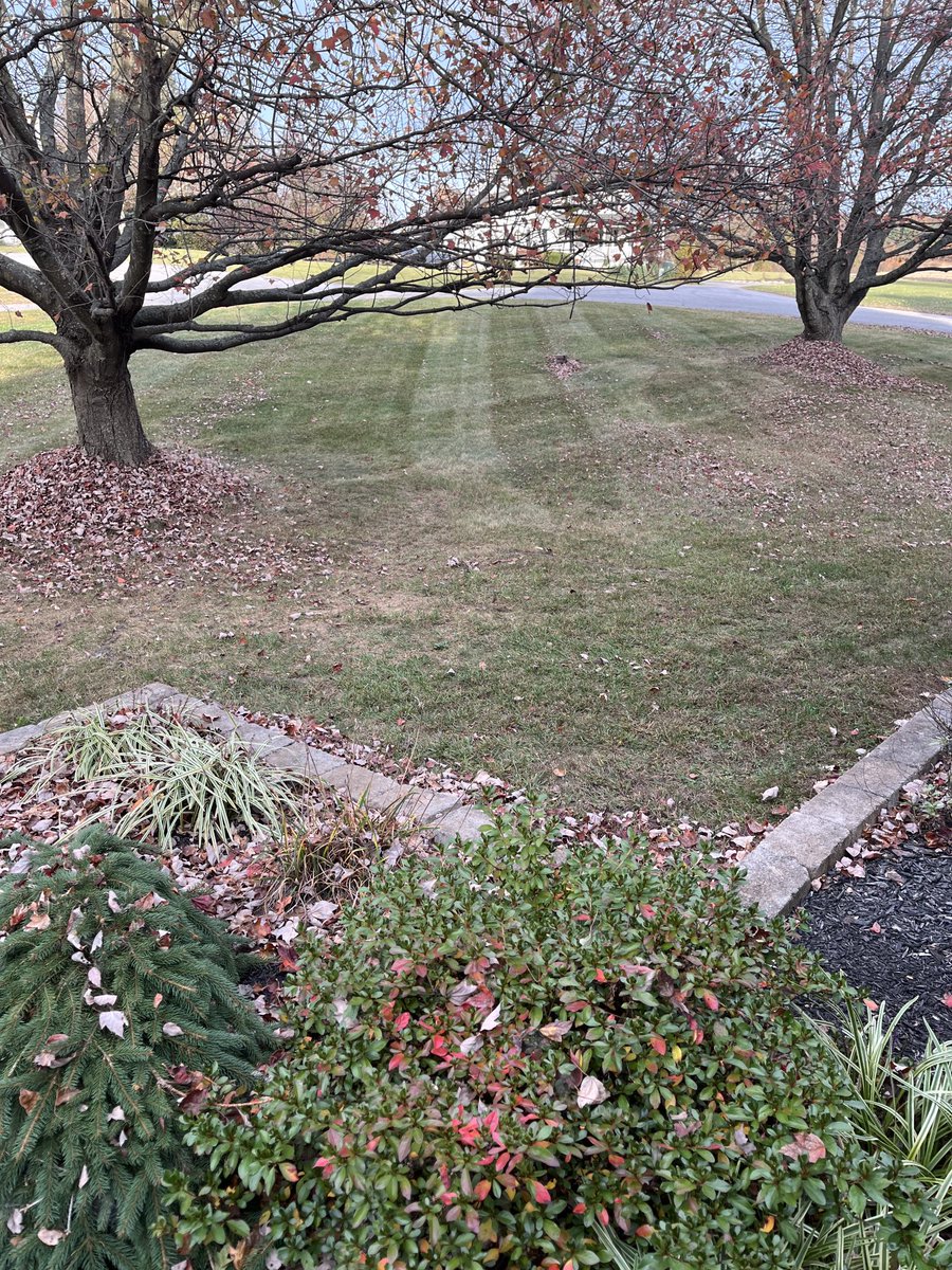 NickReiter1979's tweet image. We still throwing down stripes in Maryland.

#GrassCutter