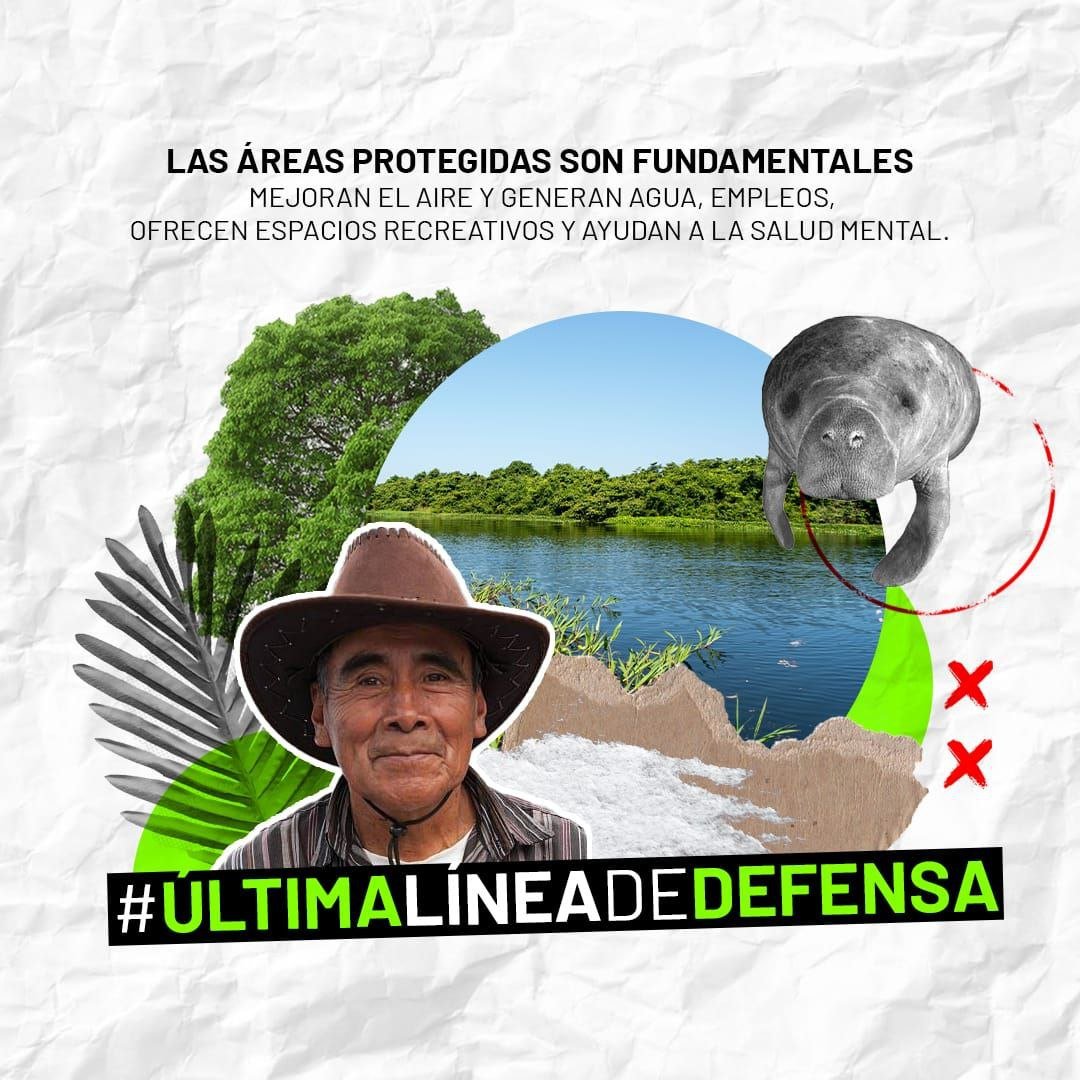 CDC Guatemala tweet media