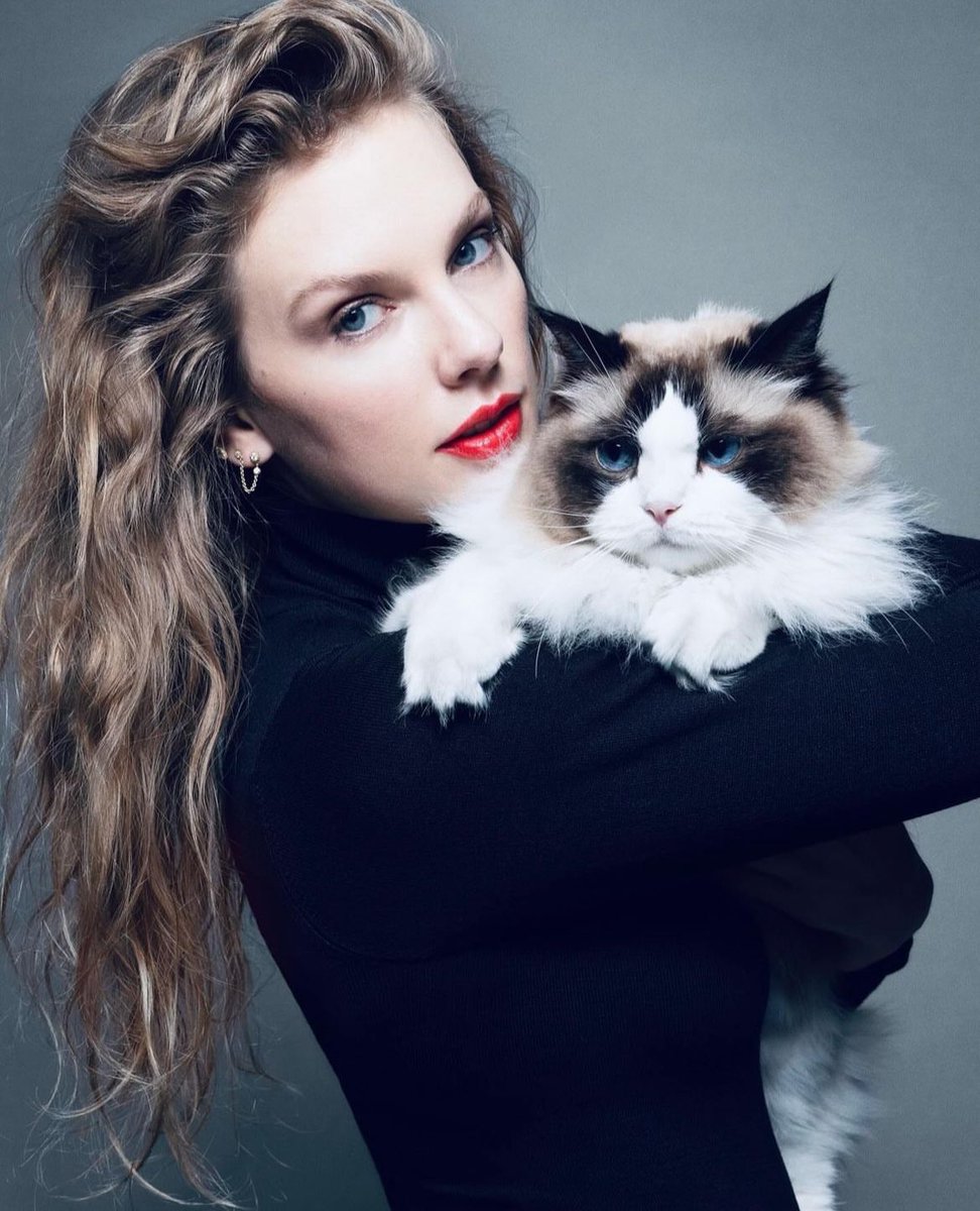 Taylor Swift News tweet media